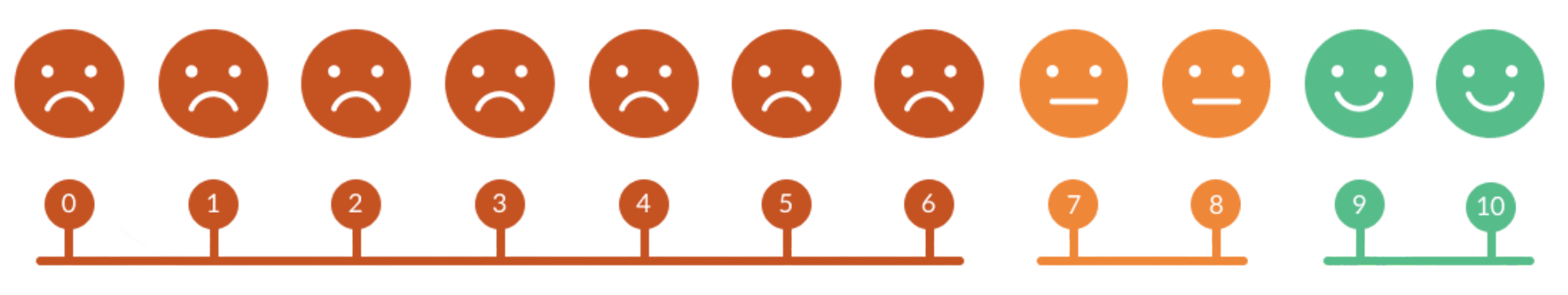 NPS Score Visualization
